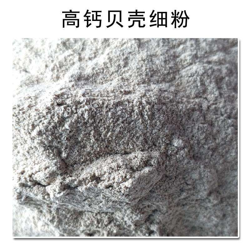 渤海湾高钙优质贝壳粉，蛋鸡蛋鸭专用含钙高质量好550一60